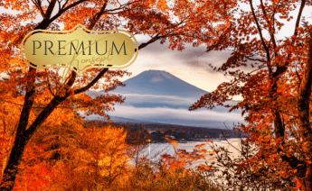 Premium Sonbaharda Koyo Zamanı Japonya Turu